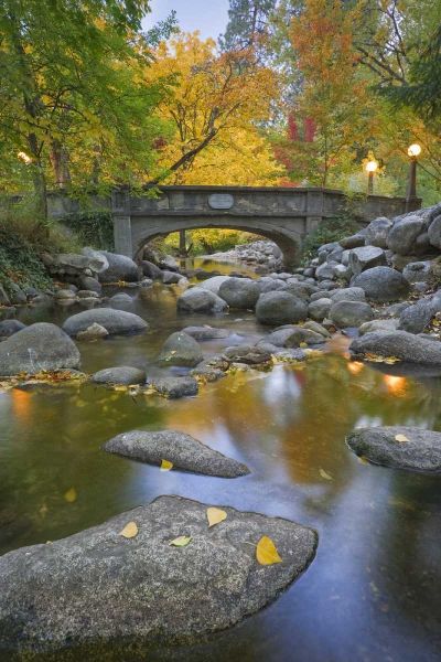 OR, Lithia Park Autumn reflects in Ashland Creek